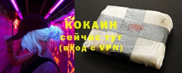 каннабис Корсаков