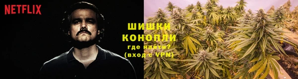 дурь Костерёво