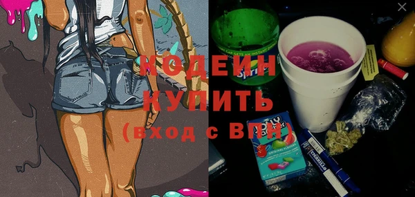 индика Киров
