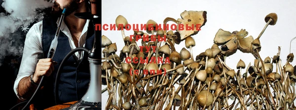 прущая мука Кодинск
