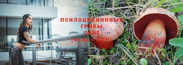 марки lsd Козловка