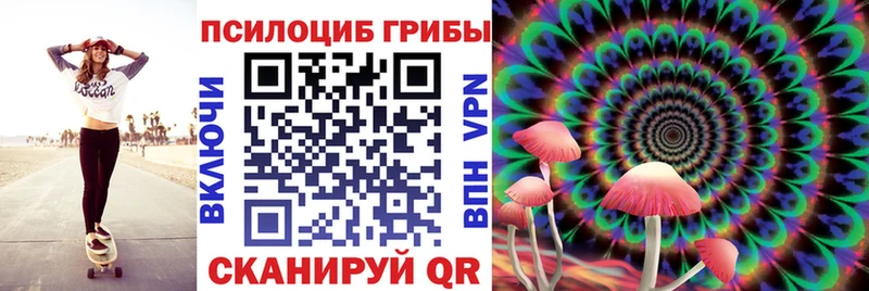 Псилоцибиновые грибы прущие грибы  Мелеуз 